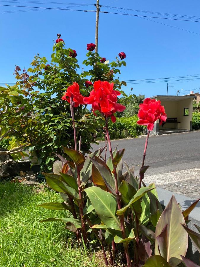 Ocean Garden, 4 Units By The Ocean Appartement São Vicente Buitenkant foto