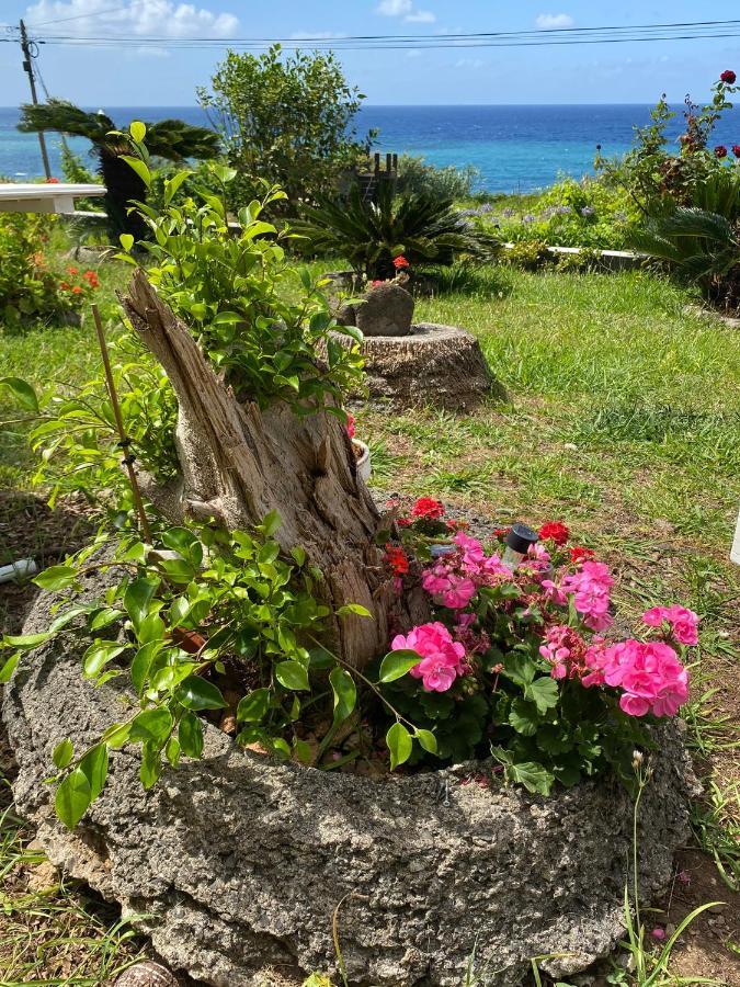 Ocean Garden, 4 Units By The Ocean Appartement São Vicente Buitenkant foto