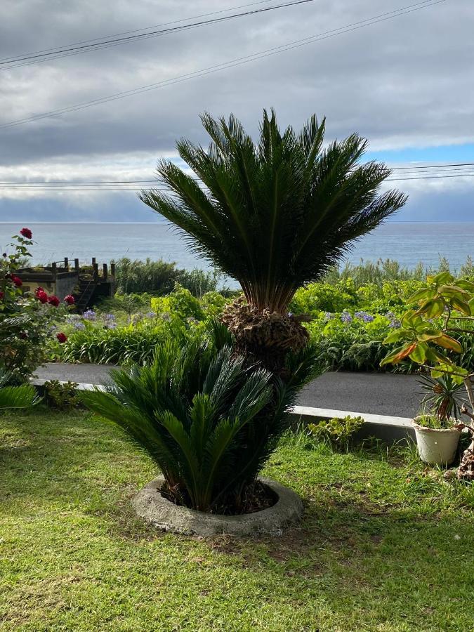 Ocean Garden, 4 Units By The Ocean Appartement São Vicente Buitenkant foto