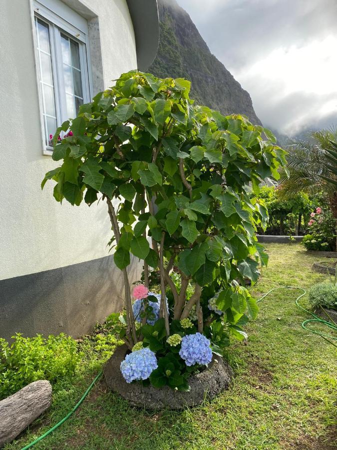 Ocean Garden, 4 Units By The Ocean Appartement São Vicente Buitenkant foto